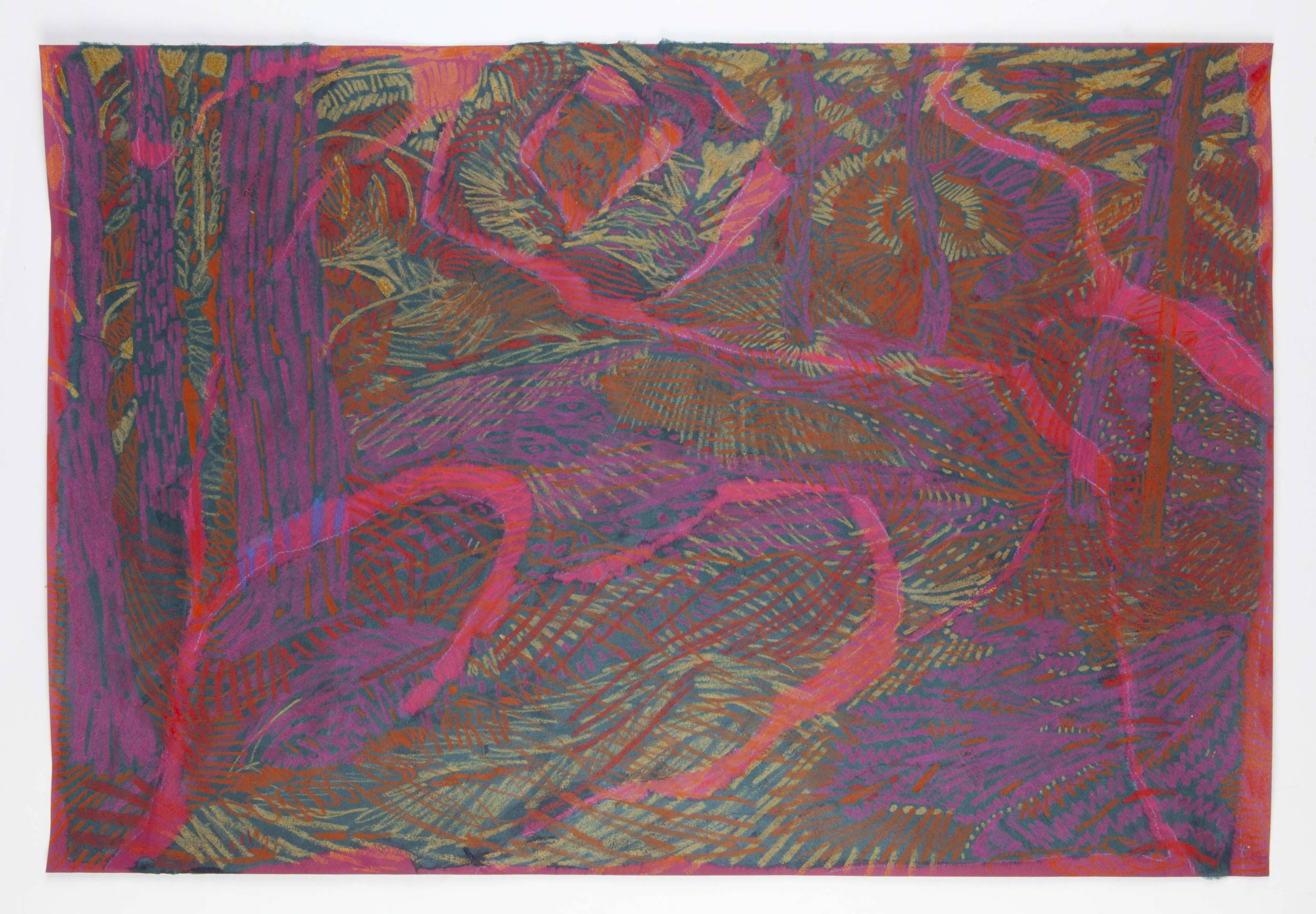Firefly wood, night